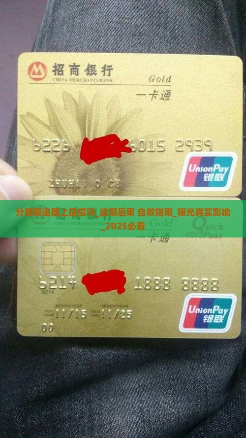 分期易逾期上征信吗