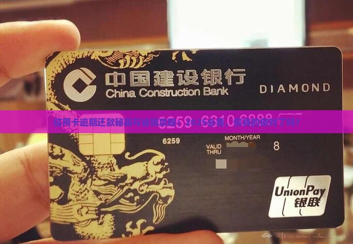 信用卡逾期如何还款合适会怎样