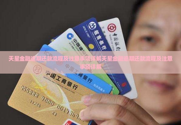 天星金融逾期还款流程及注意事项