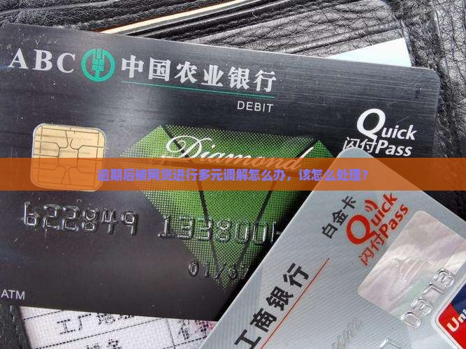 逾期后被多元调解怎么办需要哪些措施