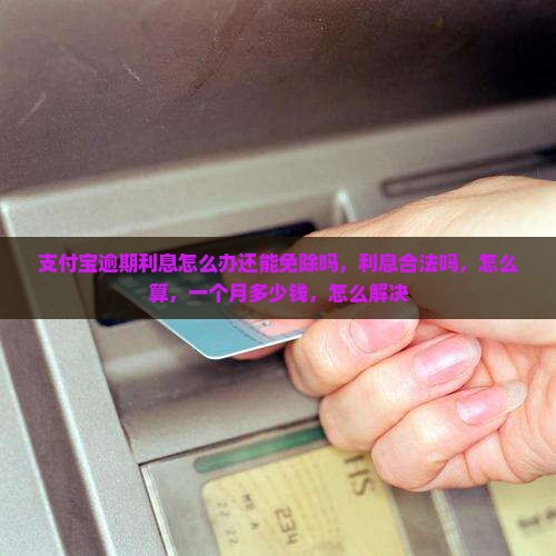支付宝逾期利息怎么办还能免除吗 支付宝逾期利息怎么办还能免除吗
