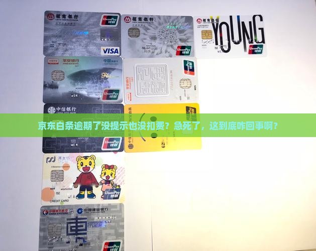 京东白条逾期没有提示没有自动扣费