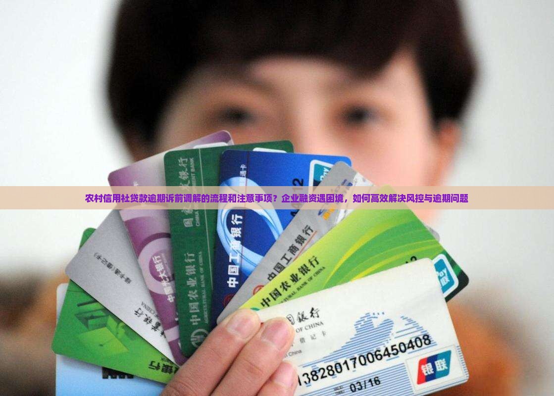 农村信用社贷款逾期诉前调解的流程和注意事项