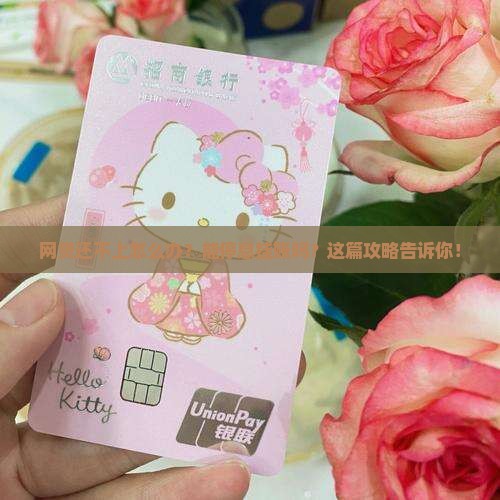 网贷还不起可以停息挂账吗解决方法大揭秘