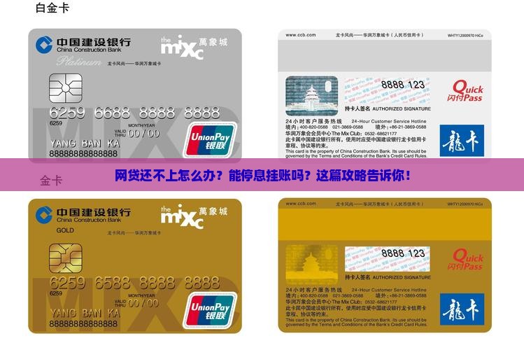 网贷还不起可以停息挂账吗解决方法大揭秘