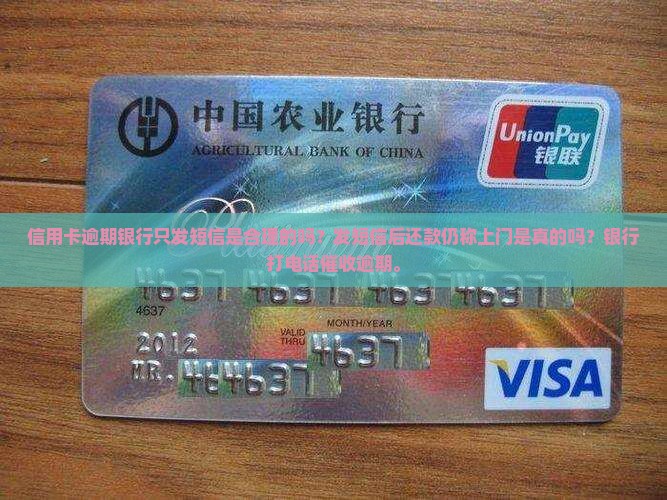 信用卡逾期银行只发短信是合理的吗