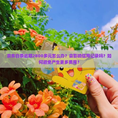 京东白条逾期2800多