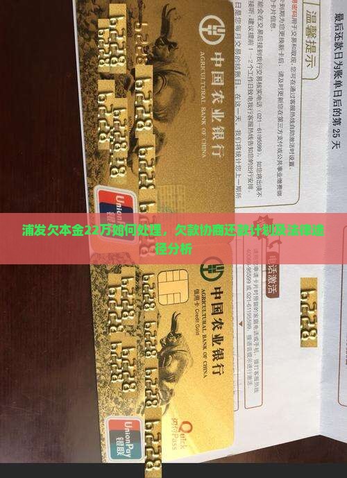 浦发欠本金22万如何处理