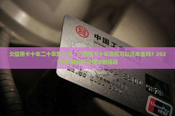 欠信用卡十年二十年怎么办