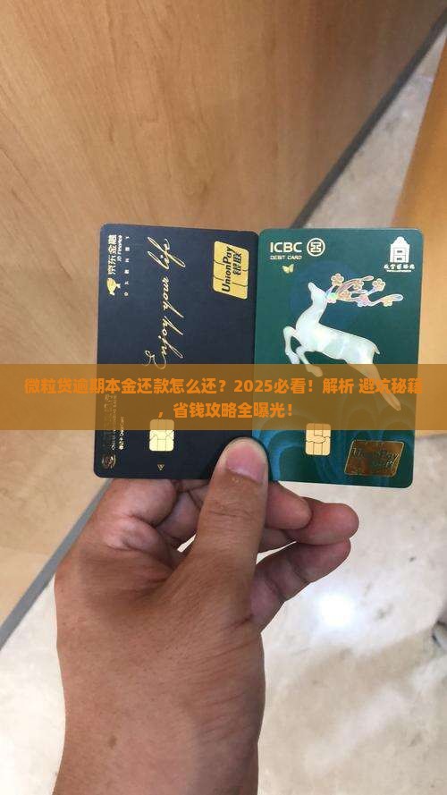微粒贷逾期本金还款怎么还
