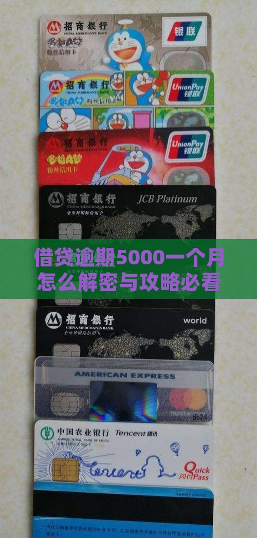 借贷宝逾期5000一个月怎么办