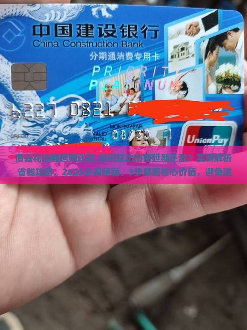借去花协商延期还款