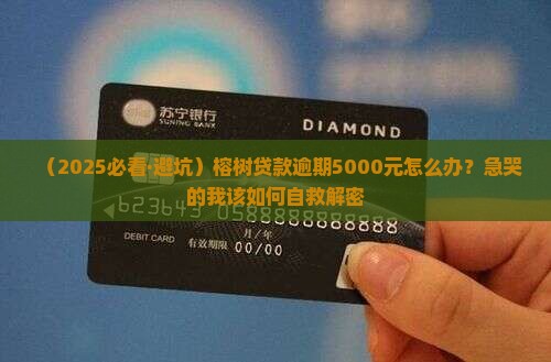 榕树贷款逾期5000如何处理