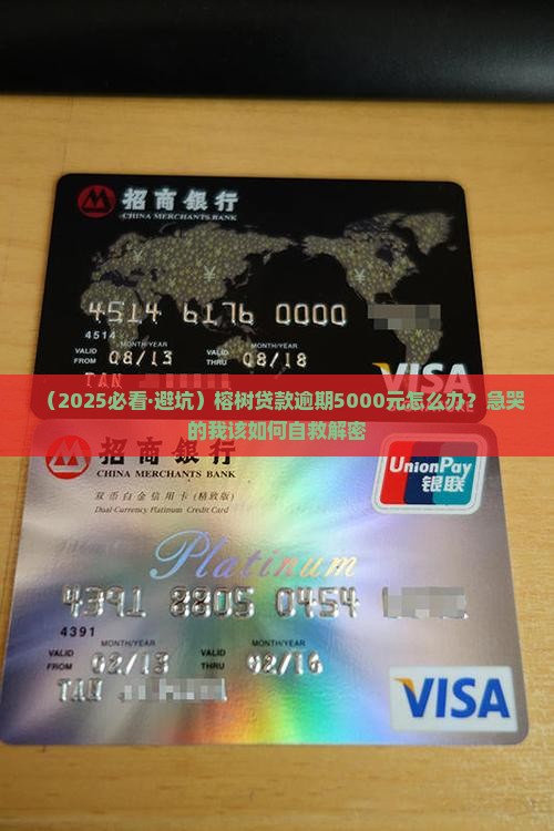 榕树贷款逾期5000如何处理