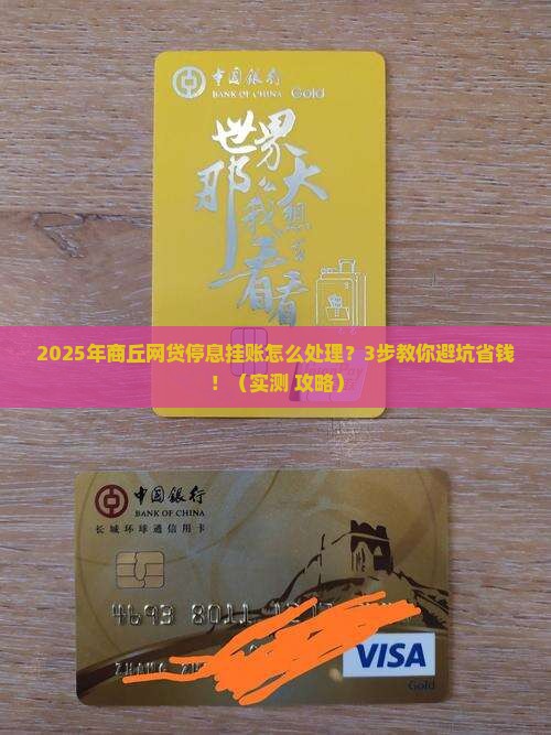 商丘网贷停息挂账如何处理