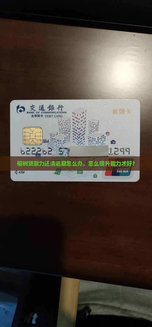 榕树贷款无能力还清怎么办才好