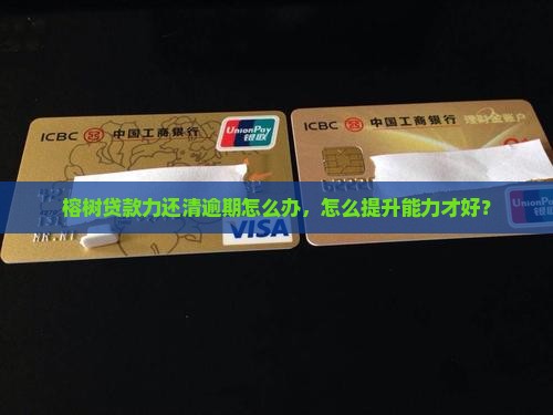 榕树贷款无能力还清怎么办才好