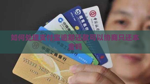 如何处理支付宝无力偿还可以只还本金吗问题