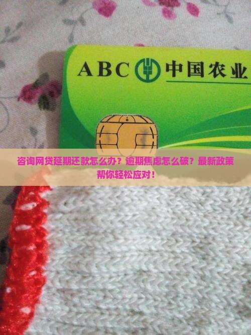咨询网贷延期还款怎么办
