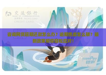 咨询网贷延期还款怎么办