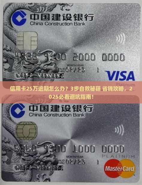 多个信用卡25万逾期应该怎么处理