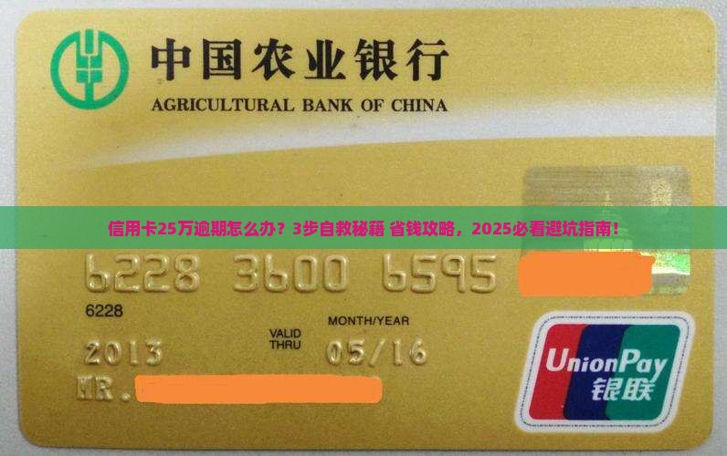 多个信用卡25万逾期应该怎么处理