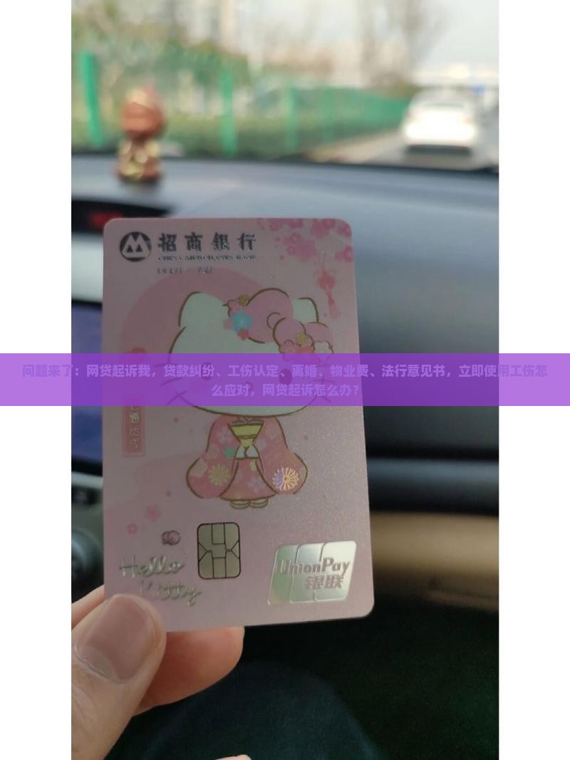 多个网贷起诉我怎么办才好