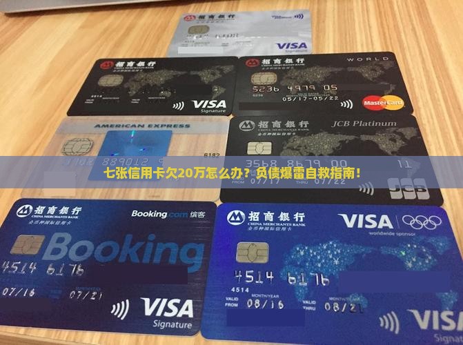 七张信用卡欠20万怎么处理