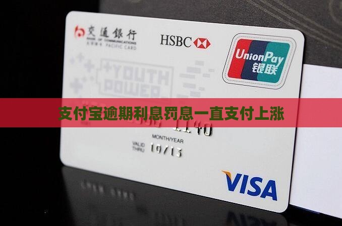 支付宝逾期利息罚息一直涨
