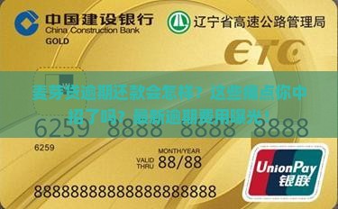 麦芽贷逾期还款规则及费用