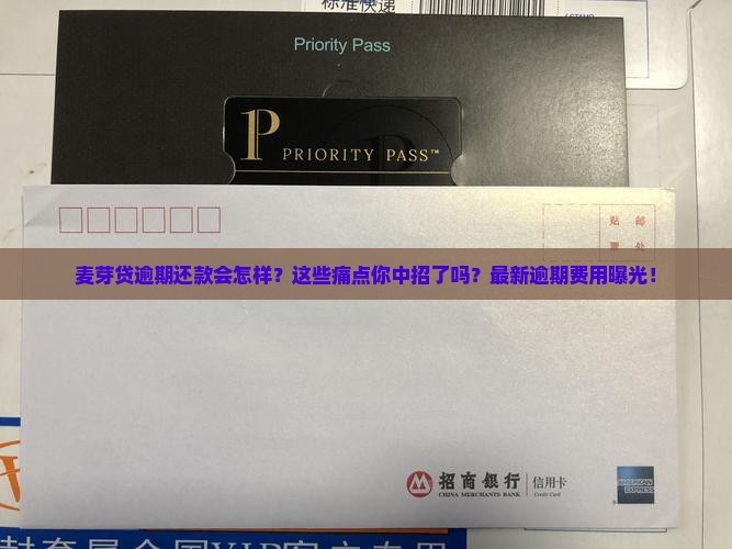 麦芽贷逾期还款规则及费用