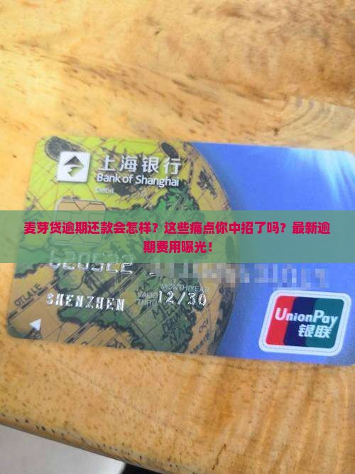 麦芽贷逾期还款规则及费用