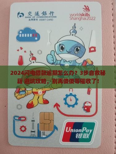 2024闪电借款逾期怎么处理