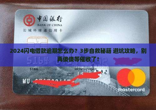 2024闪电借款逾期怎么处理