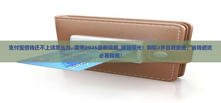 支付宝借钱还不上该怎么办应对策略
