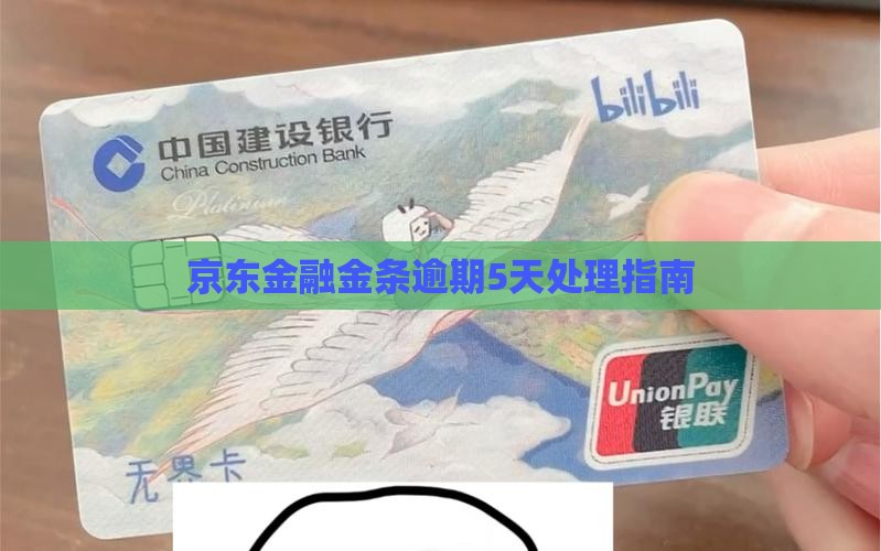 京东金融300逾期5天