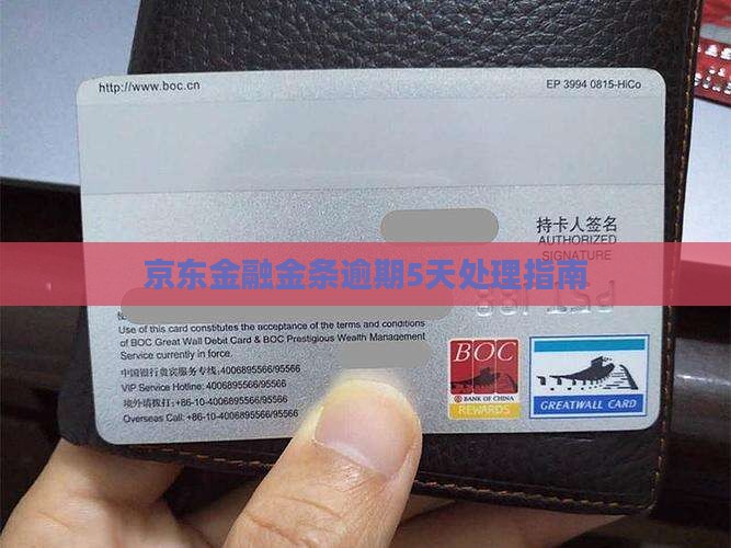 京东金融300逾期5天