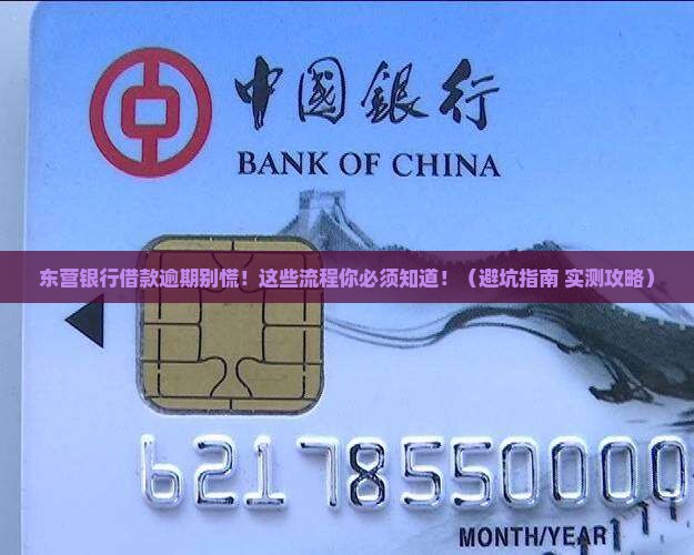 东营银行借款逾期处理流程及注意事项