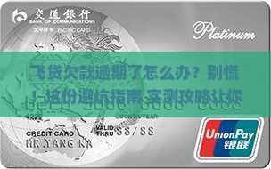 飞贷欠款逾期如何处理