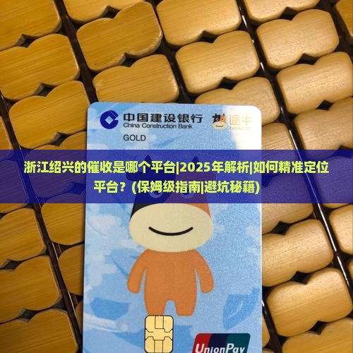 浙江绍兴的催收是哪个平台怎么找到