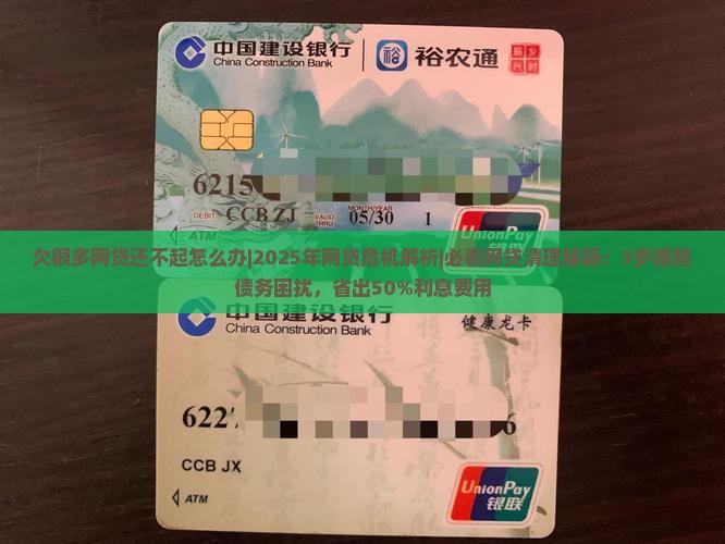 欠很多网贷还不起怎么办才能摆脱困境