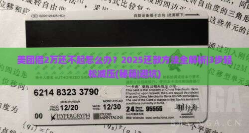 美团借2万还不起怎么办还款方法有哪些