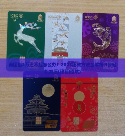 美团借2万还不起怎么办还款方法有哪些