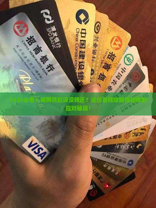 被起诉欠网贷没钱还如何应对