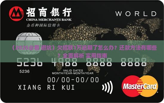 欠招联1万逾期了怎么办还款方法有哪些