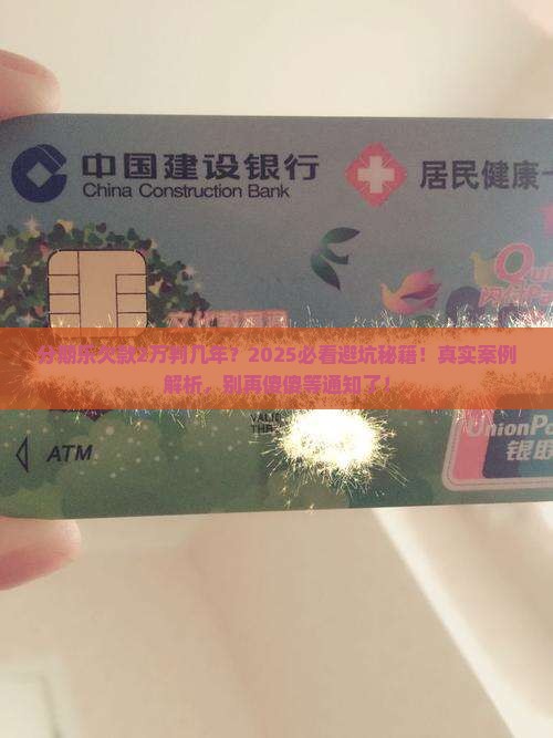 分期乐欠款2万判几年