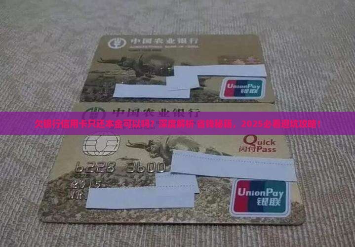欠银行信用卡只还本金可以吗如何处理