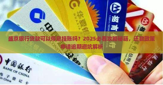 盛京银行贷款可以停息挂账吗