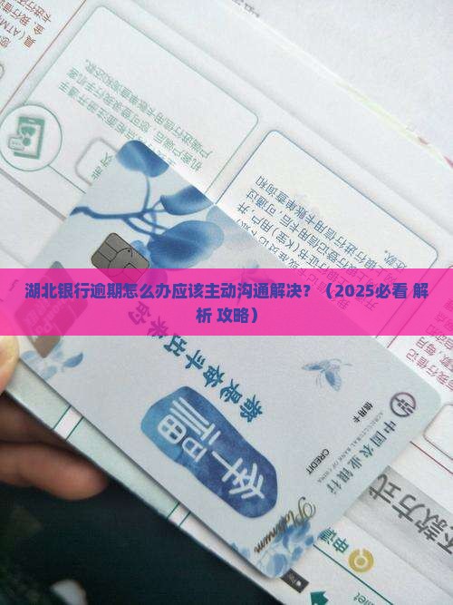 湖北银行逾期怎么办应该主动沟通解决