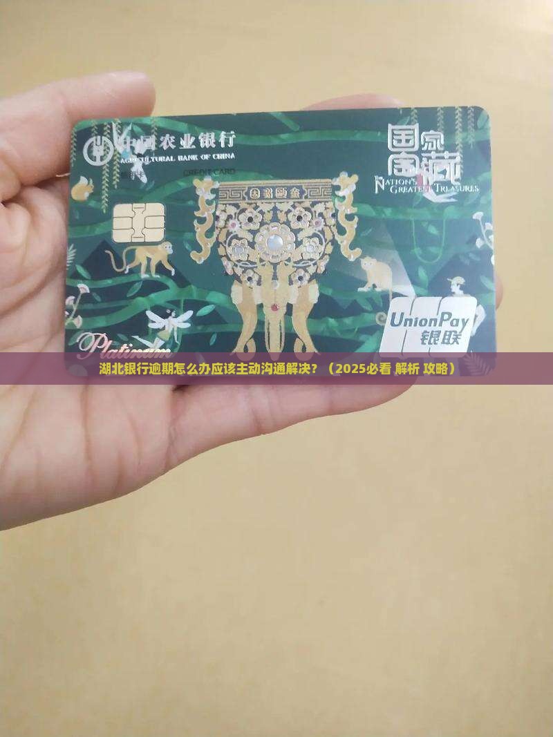 湖北银行逾期怎么办应该主动沟通解决